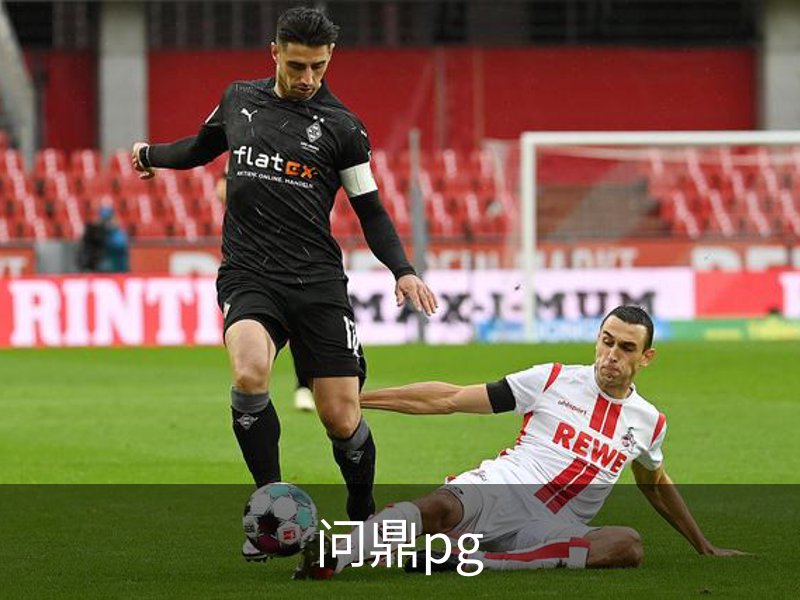 问鼎pg简介